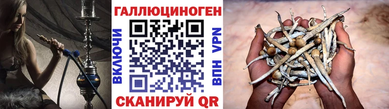 Галлюциногенные грибы Magic Shrooms даркнет сайт Сорск